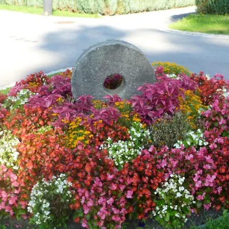 Apartment Studio-appartement Mit Bergblick By Interhome *