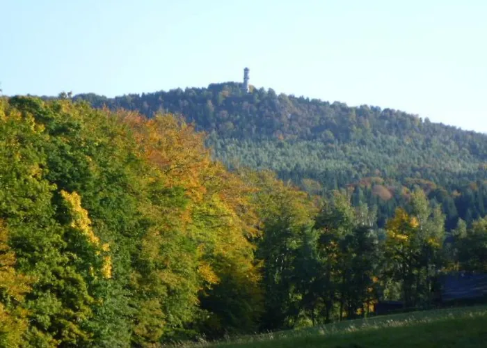 Studio-appartement Mit Bergblick By Interhome
